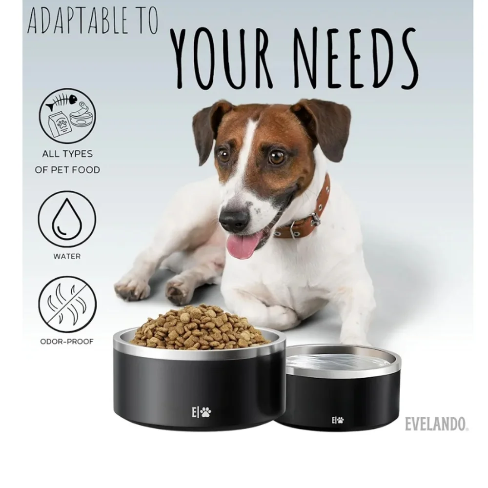 Dog Food Bowl